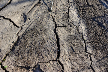 Cracked ground with a few small holes in the middle isolated, close-up   