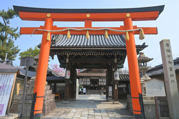 春に詣でた京都市中京区寺町通の下御霊神社