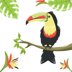 The Toucan bird . Vector illustration.