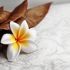 Frangipani flower with dry leaf on white ceramic background with copy space suitable for gift design, decorations. Generative ai