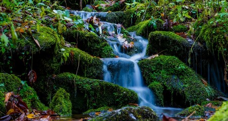 A beautiful waterfall