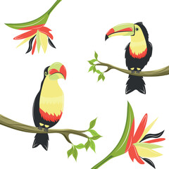 Birds on a branch. Toucan . Tropical flowers. Bright vector illustration.