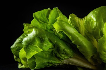 Fototapeta na wymiar lettuce .ai generative