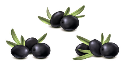 Black Olive Realistic Set