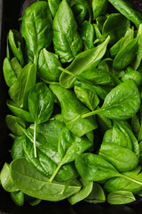 Fresh baby spinach leaves.