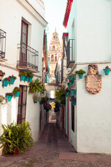 Fototapeta na wymiar Famous street in Cordoba city, Andalusia in Spain