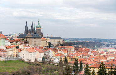 Obraz premium Petrin Gardens and Prague Landscape from Above. Cityscape. St. Vitus Cathedral and Castle of Prague.