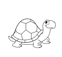 Painting activity. 
painting activity turtle bag drawing example on white background. tr ( boyama aktivitesi kaplumbağ çizim örneği