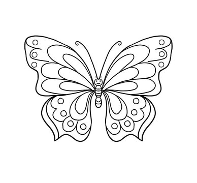 butterfly on white background . painting activity