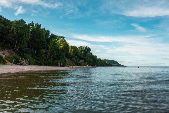 Seaside landscape with green trees in Osterlen, Skane, Scania, Sweden under ablue sky