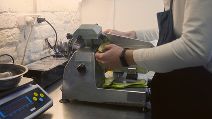 Male cook prepares ingredients for dishes. Man works on kitchen, cuts zucchini using electric vegetable food slicer. Process of cooking. Restaurant with professional gourmet cuisine. Public catering.
