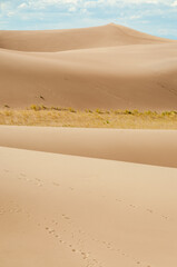 Great Sand Dunes National Park and Preserve