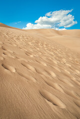 Great Sand Dunes National Park and Preserve