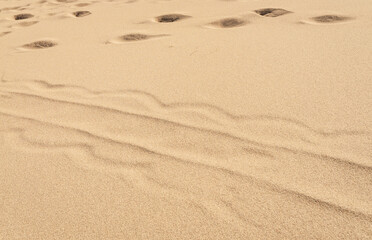 Great Sand Dunes National Park and Preserve