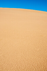 Great Sand Dunes National Park and Preserve