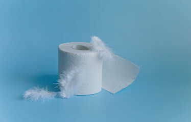 Soft toilet paper rolls on blue background with feathers