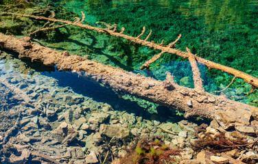 Naklejka premium The Clear Calm Waters of Hanging Lake