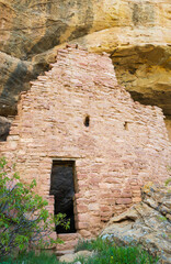 Ancestral Puebloan Cliff Dwellings at Mesa Verde National Park