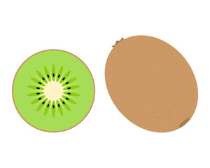 Obraz premium Kiwi fruit . Color vector illustration. Isolated on white background.