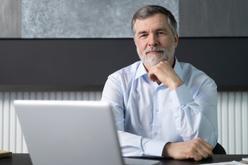 Businessman using laptop computer in office. Happy mature aged man, entrepreneur, small business...