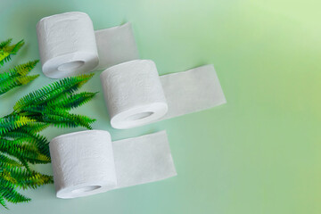Soft toilet paper rolls with fern on green background
