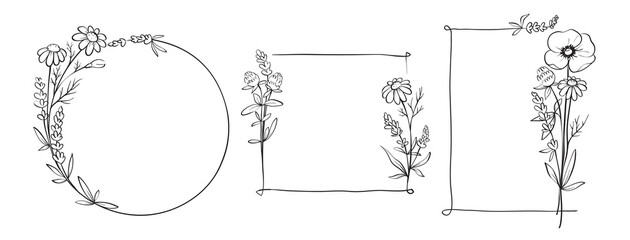 Frames from wildflowers. Sketch in lines, freehand drawing. Vector illustration, summer flowers borders.