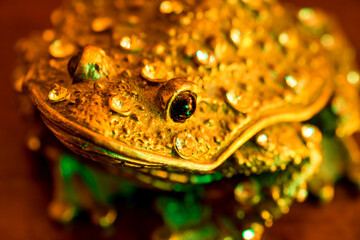 Close up of a bejewelled toad or frog waiting to be kissed by a princess