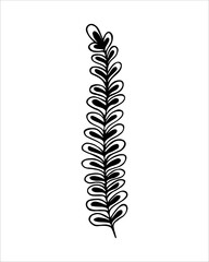 Hand drawn twig in doodling style. Botanical decorative element  in outline style.Black line on white isolated background.
