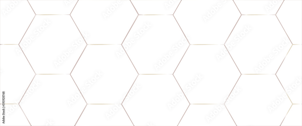 Poster background with hexagons . abstract background with lines, hexagon geometric pattern. seamless hex b