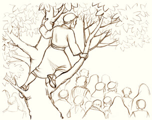Zacchaeus. The man in the tree looks out into the crowd. Pencil drawing