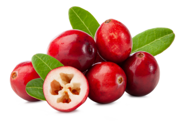 fresh cranberries with green leaves isolated on white background.