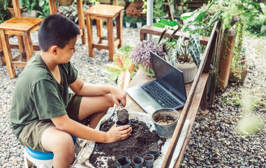 Boy learns to grow flowers in pots through online teaching. shoveling soil into pots to prepare plants for planting leisure activities concept