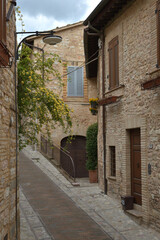 Fototapeta premium Narrow street in the small town of Spello, Umbria region, Italy