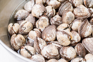 Fresh seafood cockles in a bowl