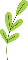 Branch With Leaves