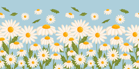 Seamless pattern with blooming daisies. Chamomile vector floral illustration for postcard, poster, fabric, wrapping paper, decor etc. Flowers for spring and summer holidays.