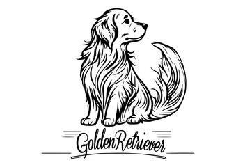 drawing of golden retriever dog