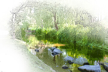 a stream through green grasses of green grass
