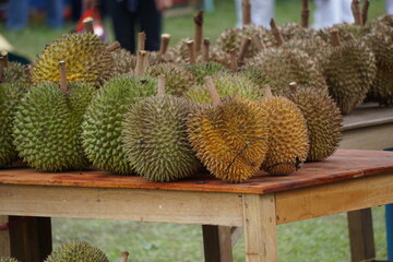 Durian, the king of fruit. Durian is one of the exotic fruit from East Asia. This fruit has strong aroma, 