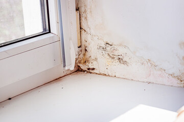 Mold on slopes near window made of metal-plastic construction. Poorly installed windows. High humidity near windows in house.