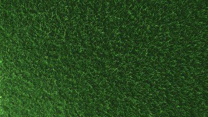 green grass background