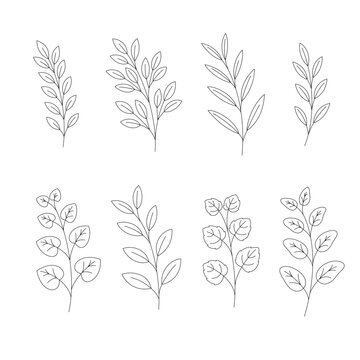 Set of different plants. Herbs. Botanical vector illustration.