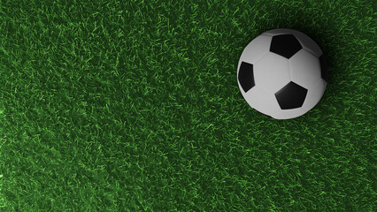 soccer ball on green grass