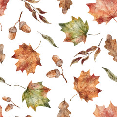 Watercolor fall leaves seamless pattern. Botanical print on white background. Hand drawn autumn illustration © Daryartsy
