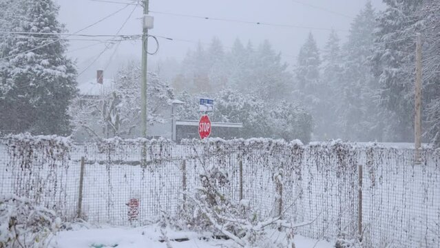Landscape footage of snowfall on icy park with metal fence and snowy trees in Port Alberni, Canada