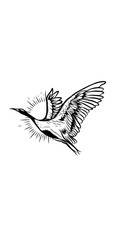 hand drawn sketch of a bird