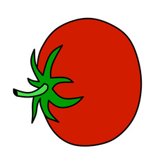 Fruit vector hand drawed