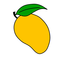 Fruit vector hand drawed