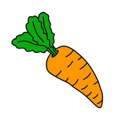 Fruit vector hand drawed