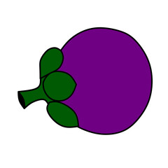 Fruit vector hand drawed